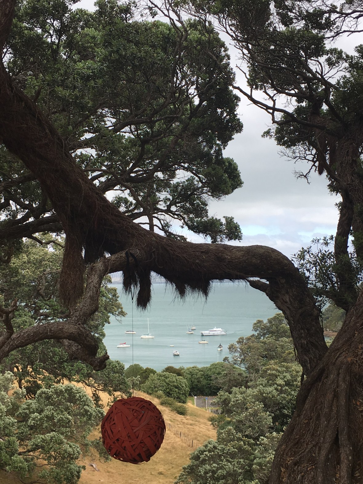 20170213_002749036_iOS