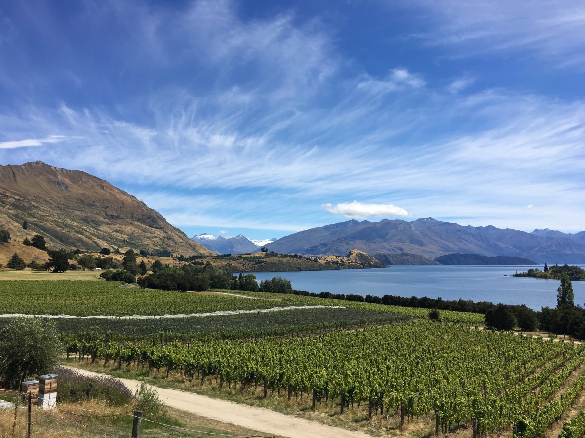 20170219_235204550_iOS